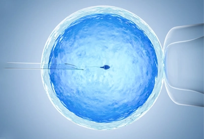 ICSI Treatment in India: Procedure, Cost, Full Form, and Success Rate Explained